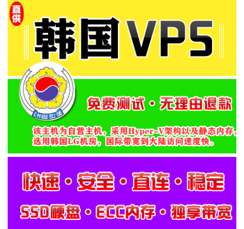韩国VPS注册1024M推荐，站群报价模板